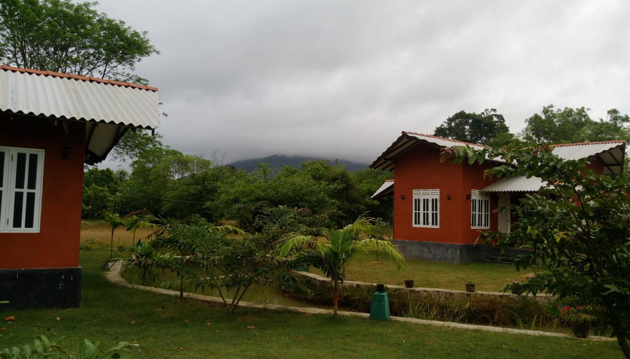 Ritigala Lodge Habarana Buitenkant foto