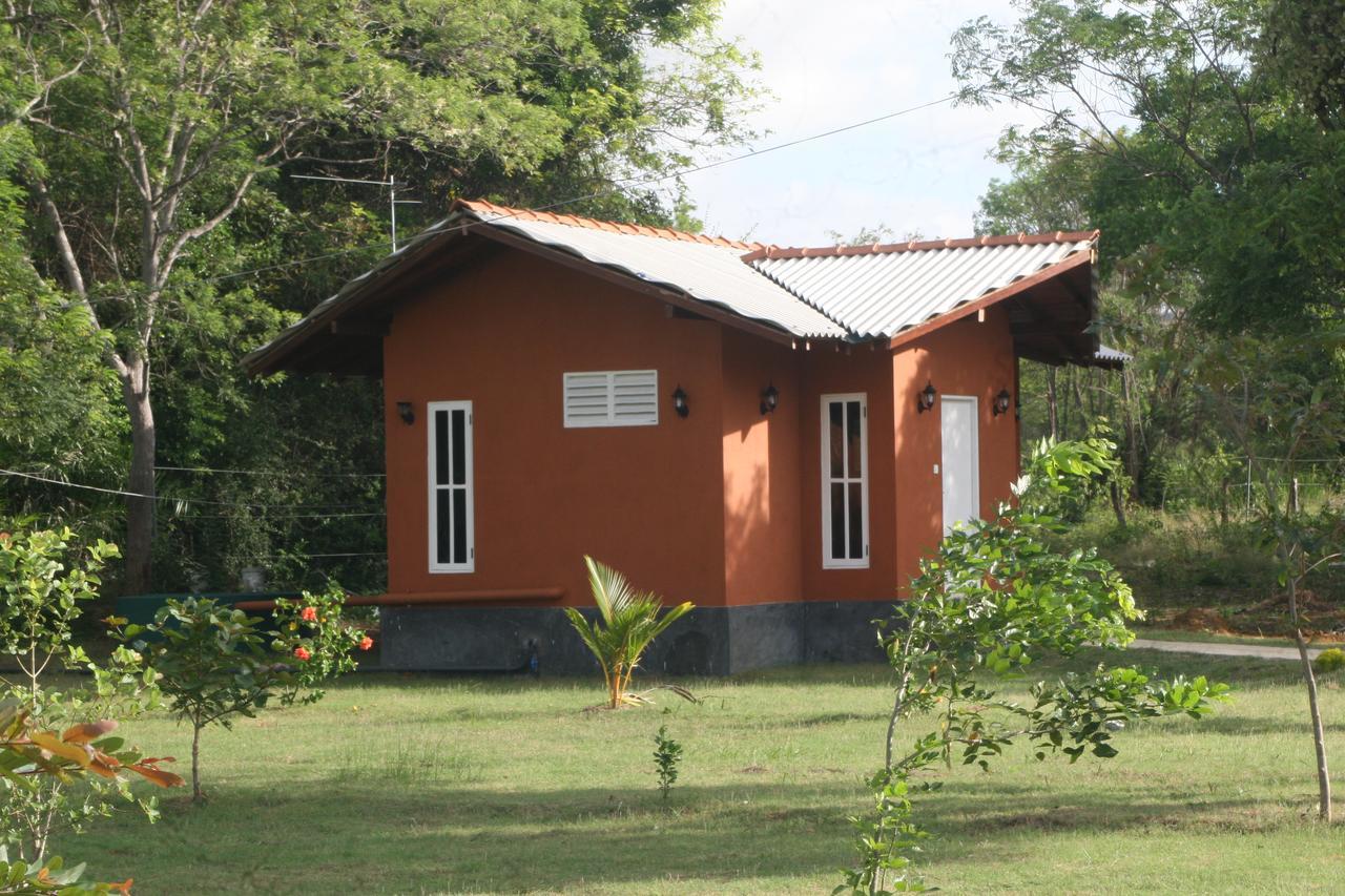 Ritigala Lodge Habarana Buitenkant foto