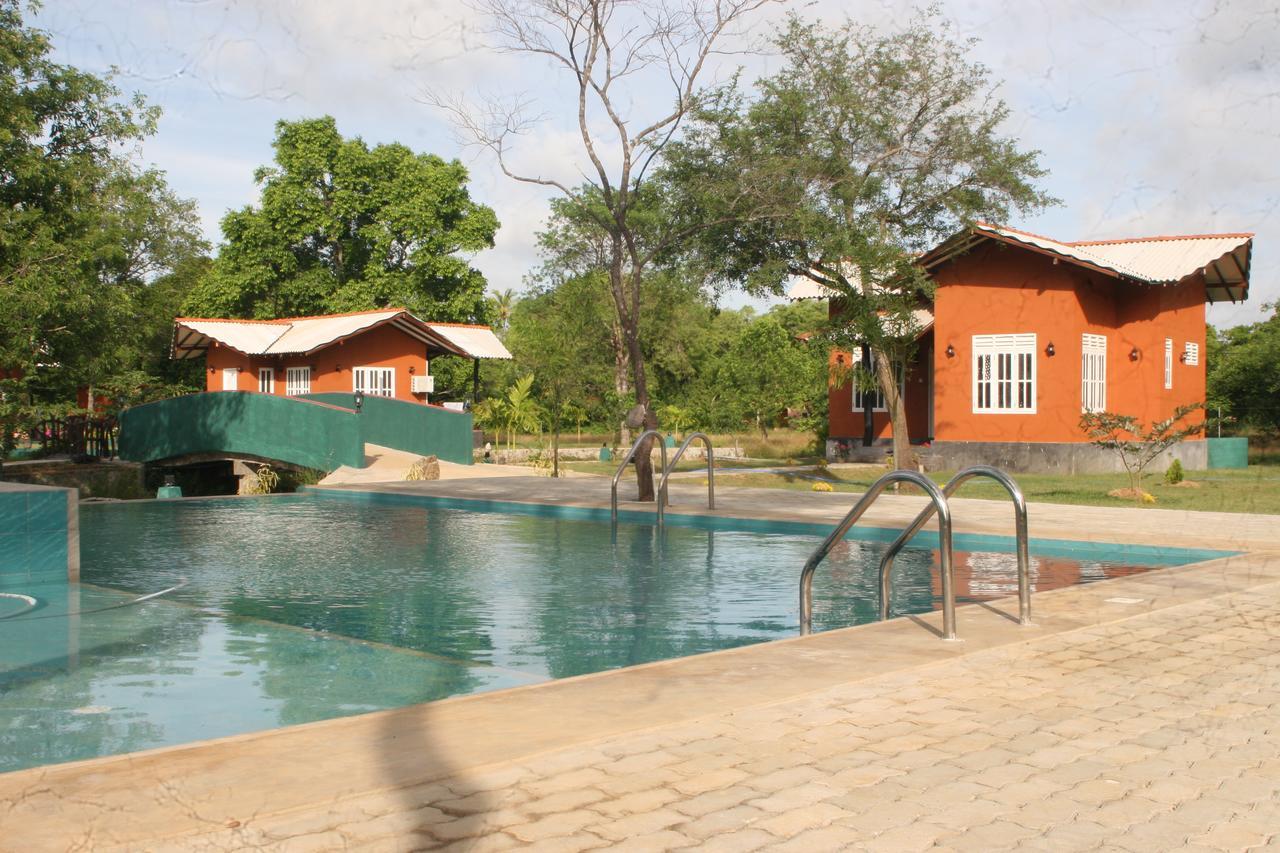 Ritigala Lodge Habarana Buitenkant foto